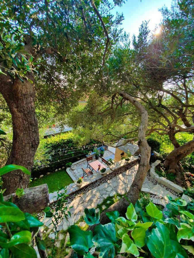 Apartmani Renata Brela Εξωτερικό φωτογραφία