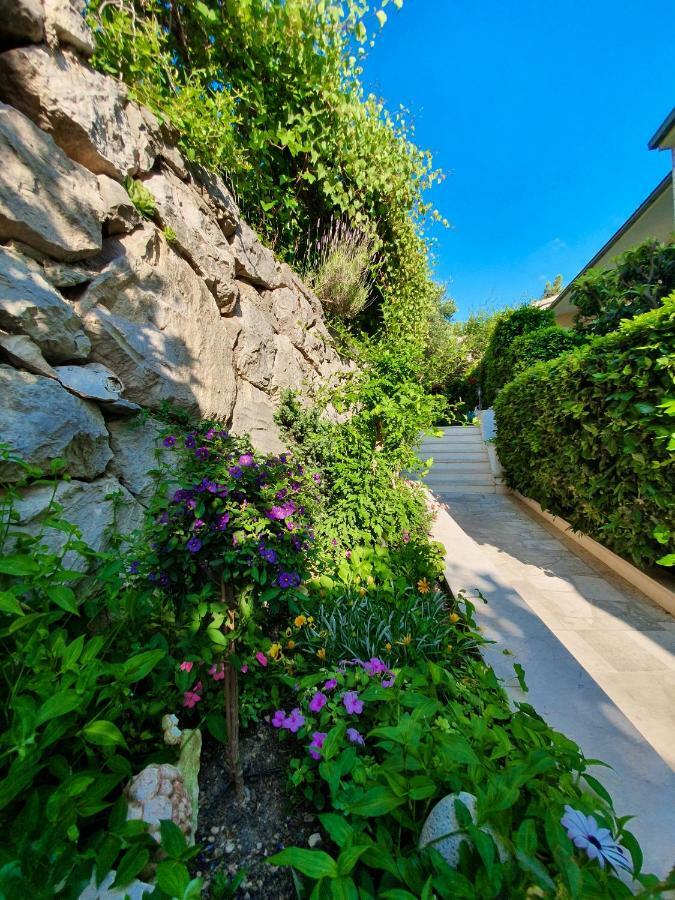 Apartmani Renata Brela Εξωτερικό φωτογραφία